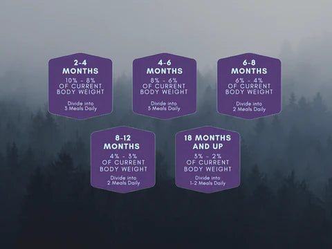 Raw Necessity Turkey and Prime Beef 80:10:10 Complete 1kg