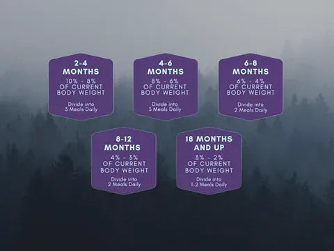 Raw Necessity Turkey and Prime Beef 80:10:10 Complete 1kg