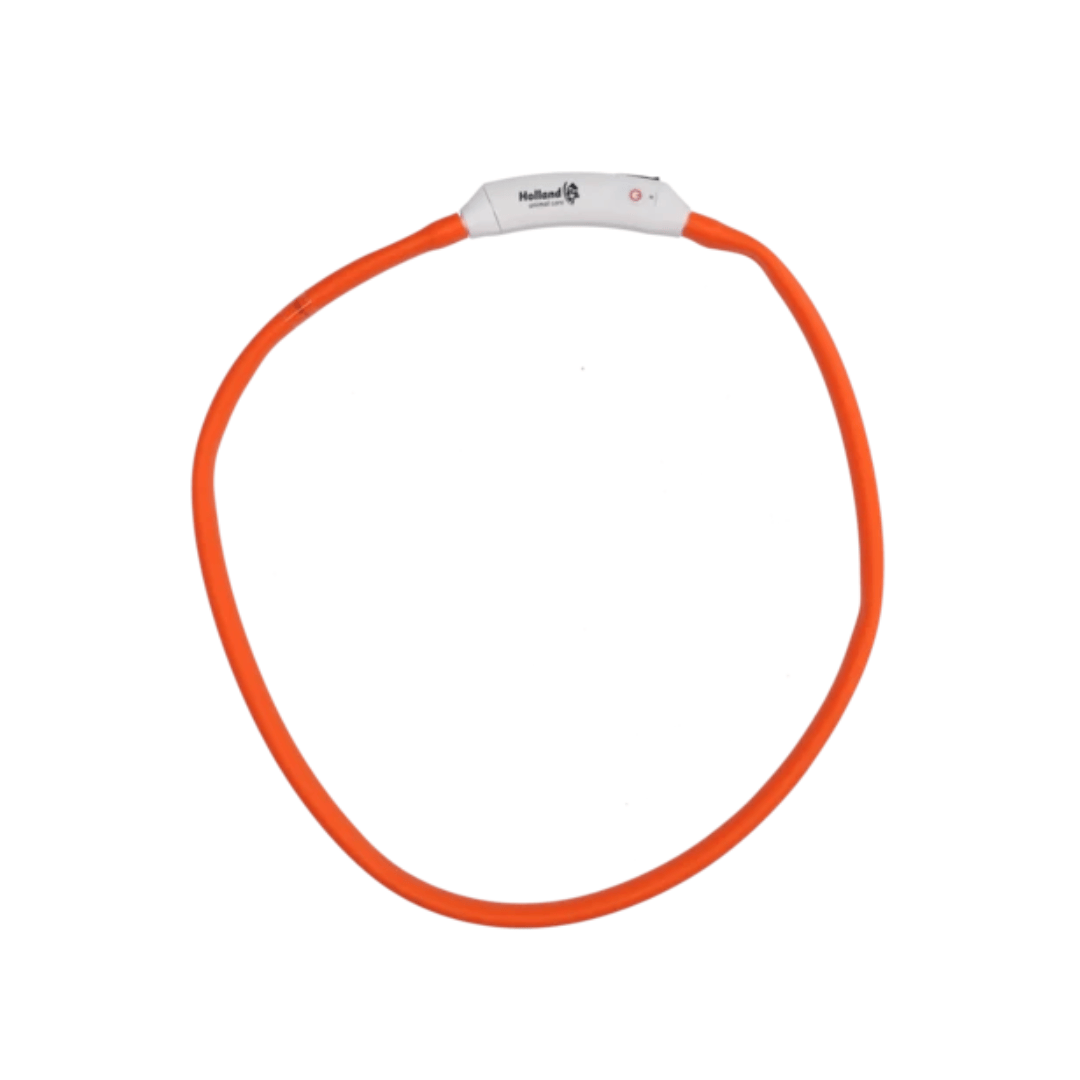NightWalk Safety Light Collar