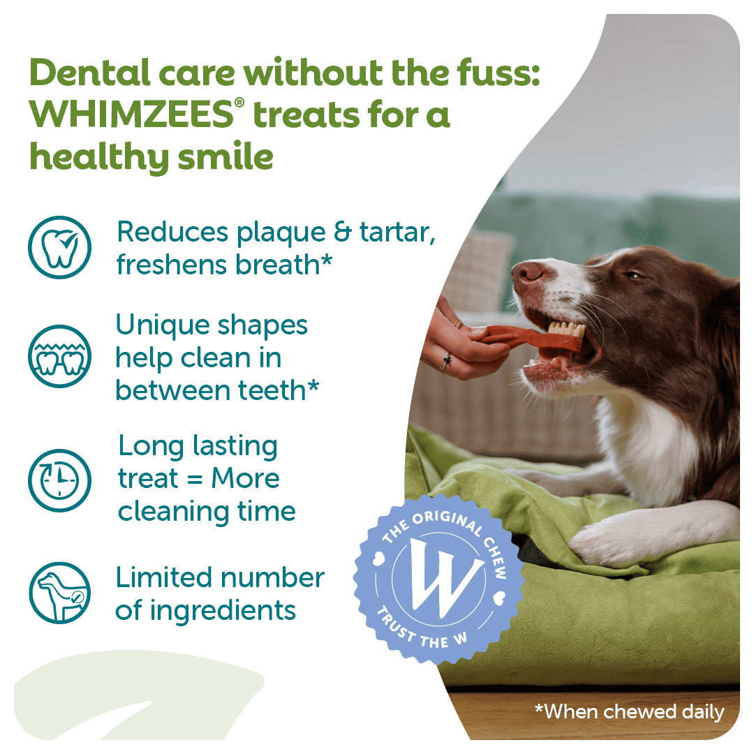 Whimzees Daily Dental Treats Toothbrush 3 Pack - Large Dogs