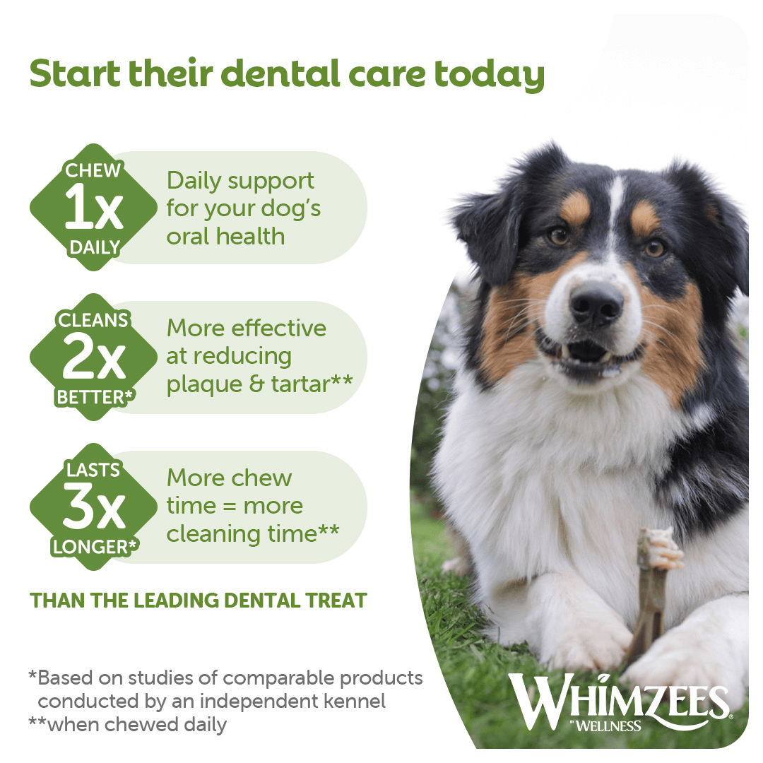 Whimzees Daily Dental Treats Toothbrush 3 Pack - Large Dogs