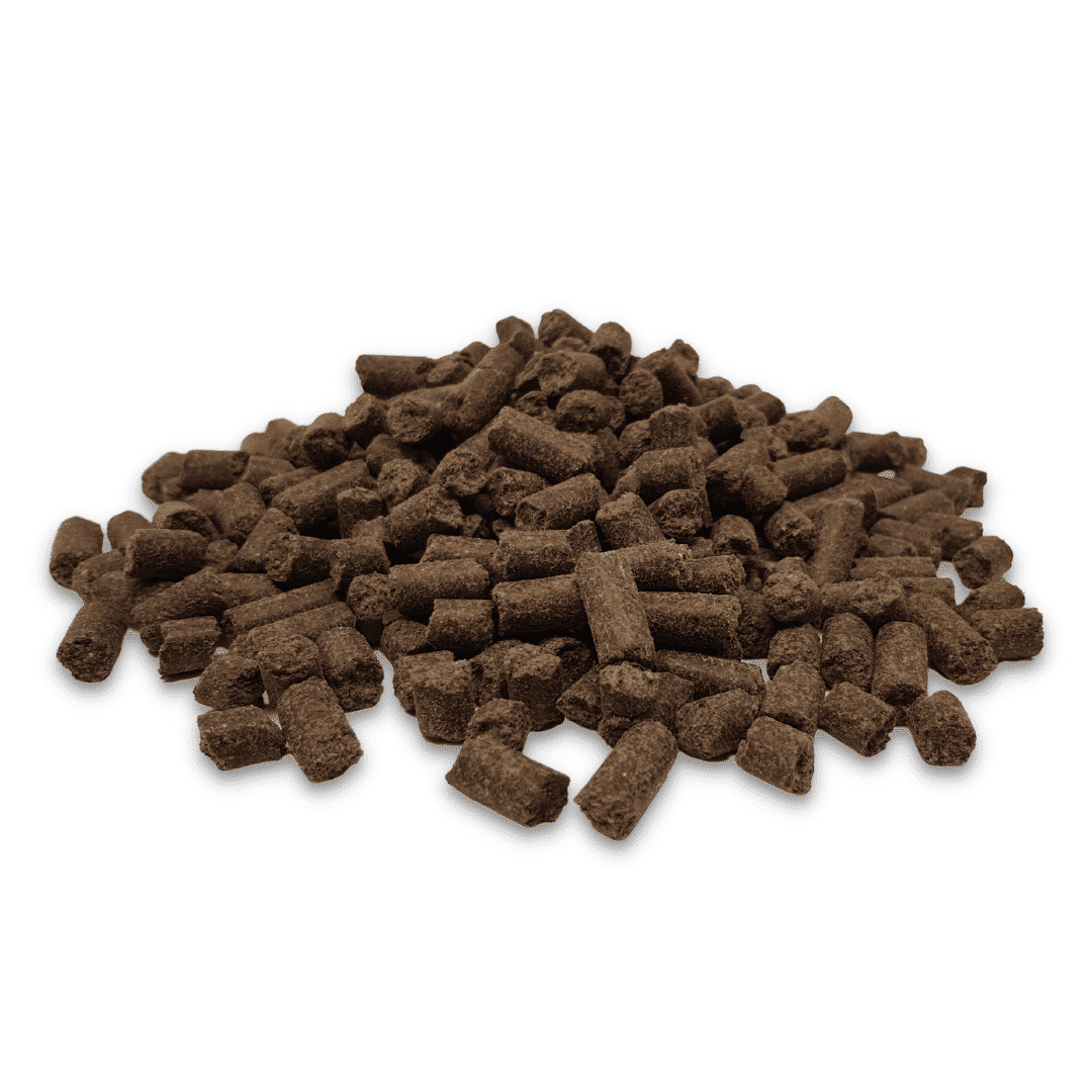 Salmon Cold Pressed Dog Food on a white background