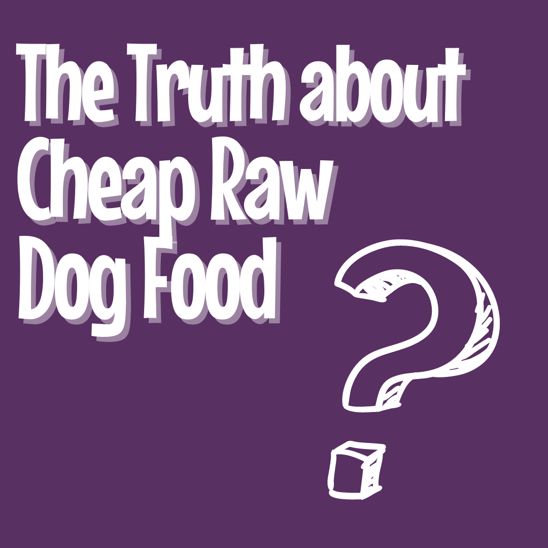 The Truth About Raw Dog Food on purple background