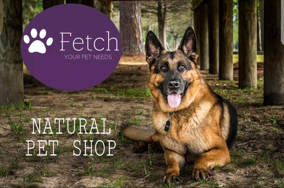 fetch natural pet shop logo