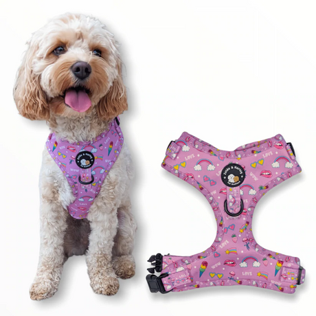 Zelda and Harley Pink Pawer Harness