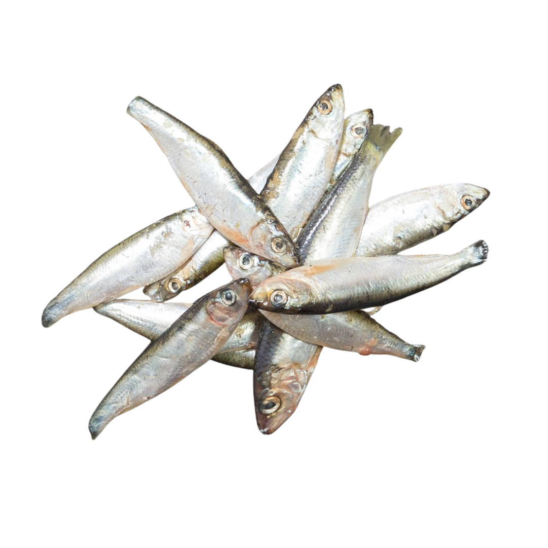 KB Raw Sprats 1kg Fetch Your Pet Needs