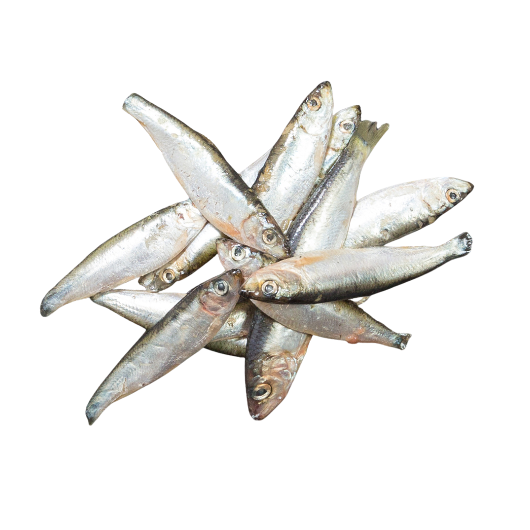 KB Raw Sprats 1kg