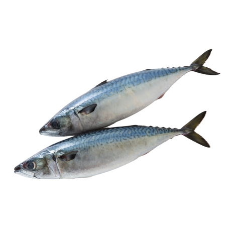 KB Raw Mackerel 1kg