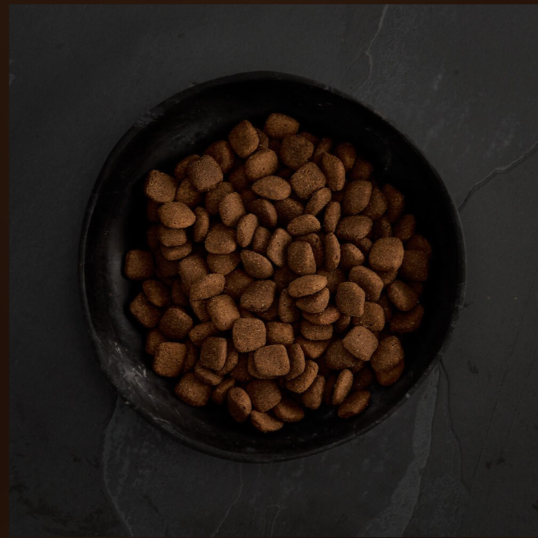 Canagan Grass Fed Lamb Dog Food Fetch Your Pet Needs