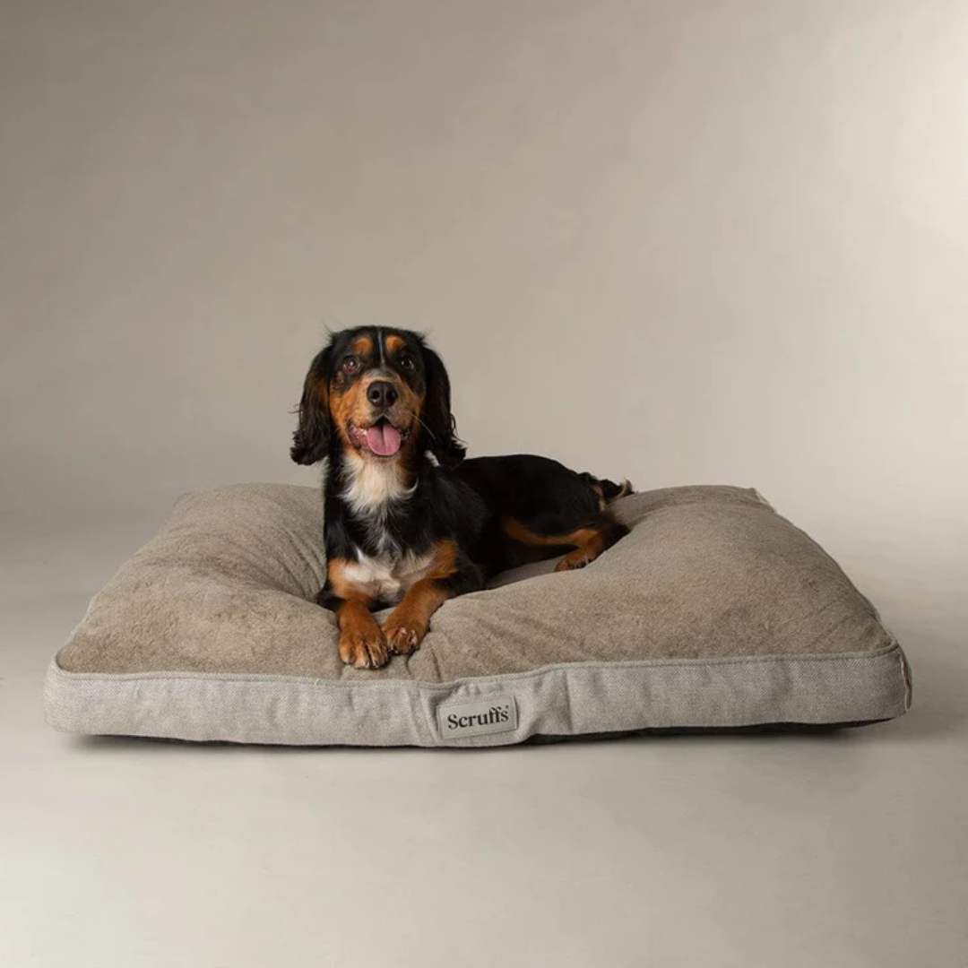 Memory foam mattress for dogs sales