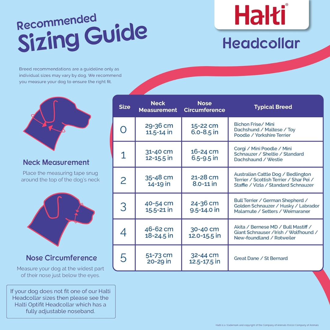 Halti Head Collar for Dogs