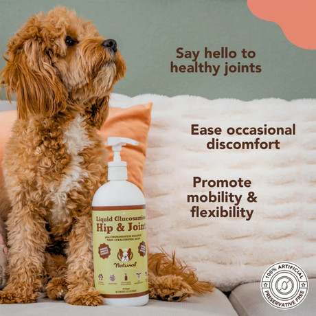 Red dog beside a bottle of Liquid Glucosamine with the text "Say hello to healthy joints. Ease occasional discomfort. Promote mobility and flexibility.'