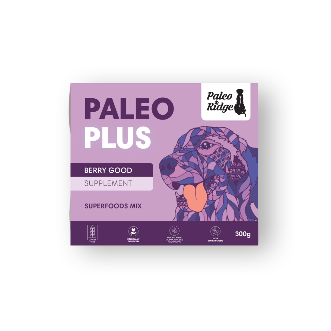 Paleo Plus Berry Good Box