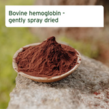 This infographic shows the product in a bowl. The bowl is placed on a rock outside. The poster states the  Aniforte Bovine Blood Powder 250g is gently spray dried.
