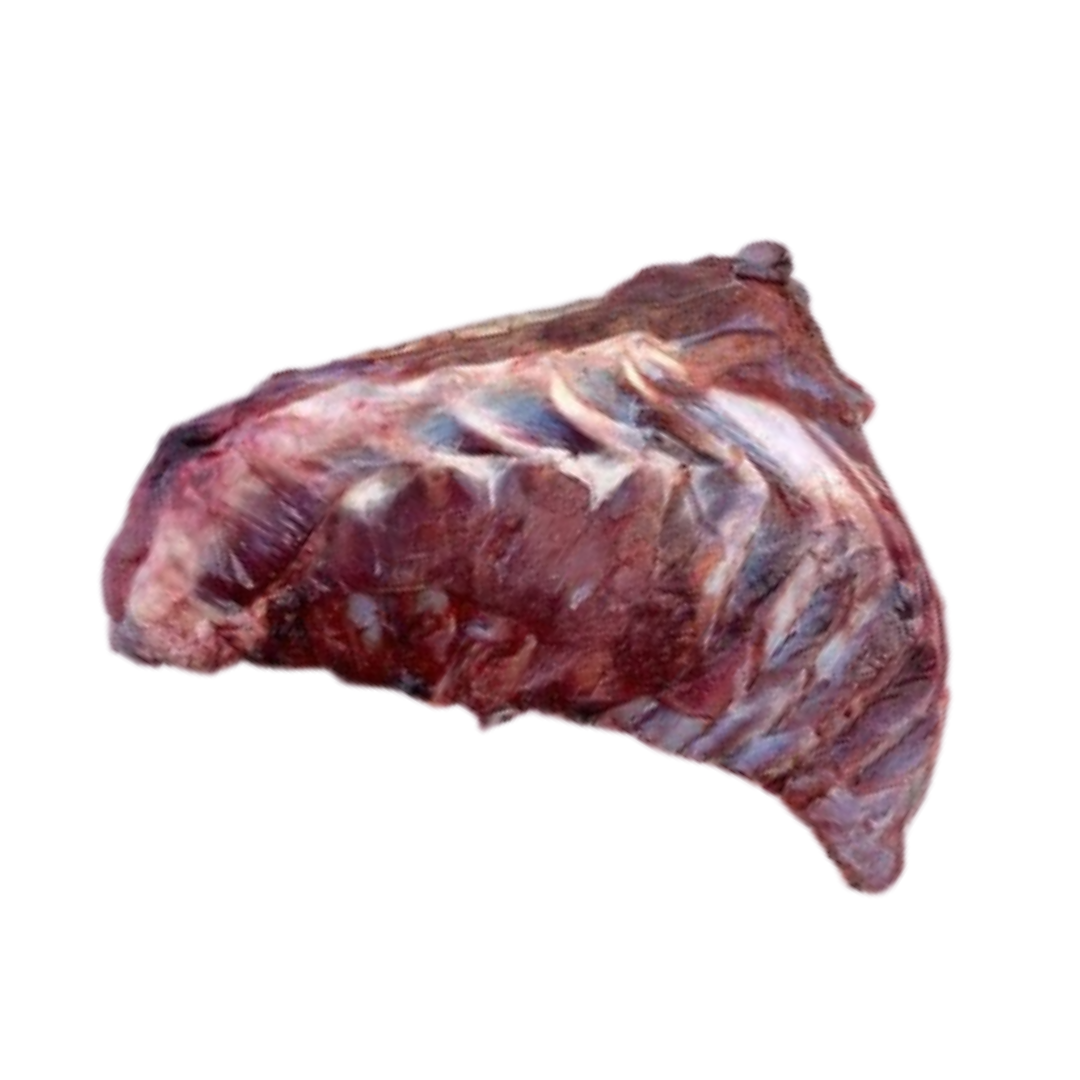 Raw Venison Ribs