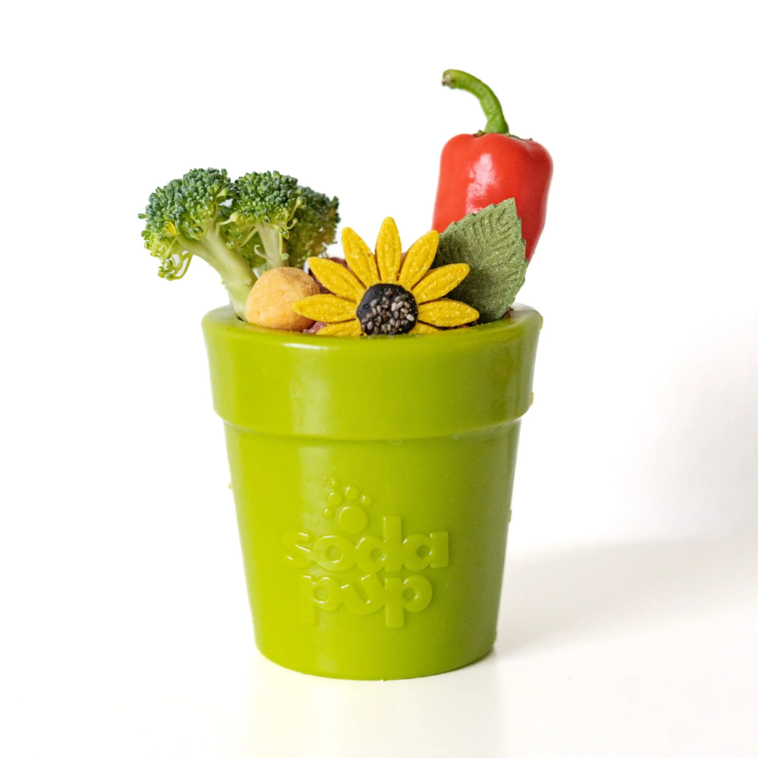 SodaPup Flower Pot Enrichment Toy