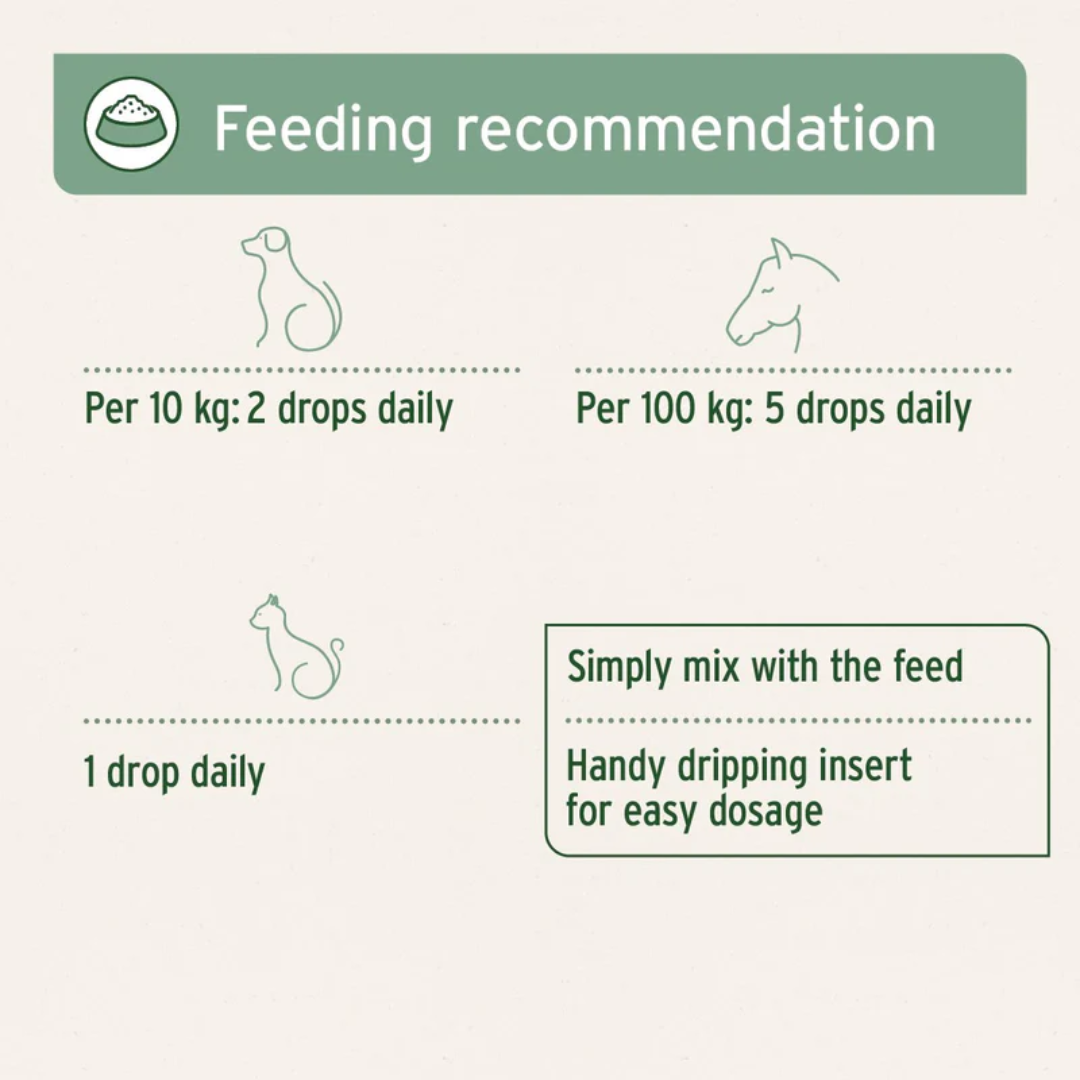 Feeding guidelines for the Aniforte Algae Oil 50ml for dogs, cats and horses