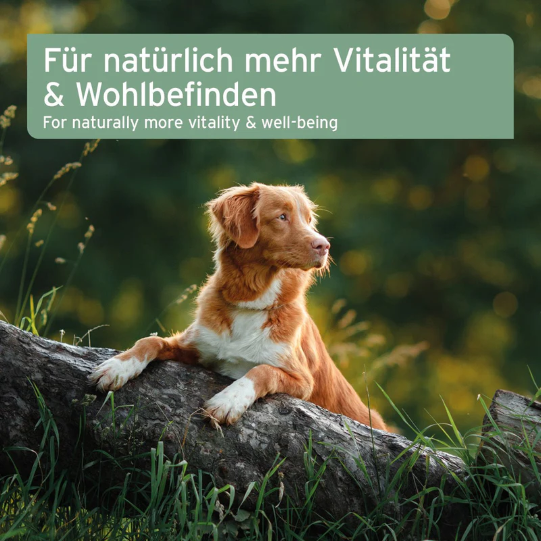 An infographic by Aniforte stating "for naturally more vitality & well-being" 