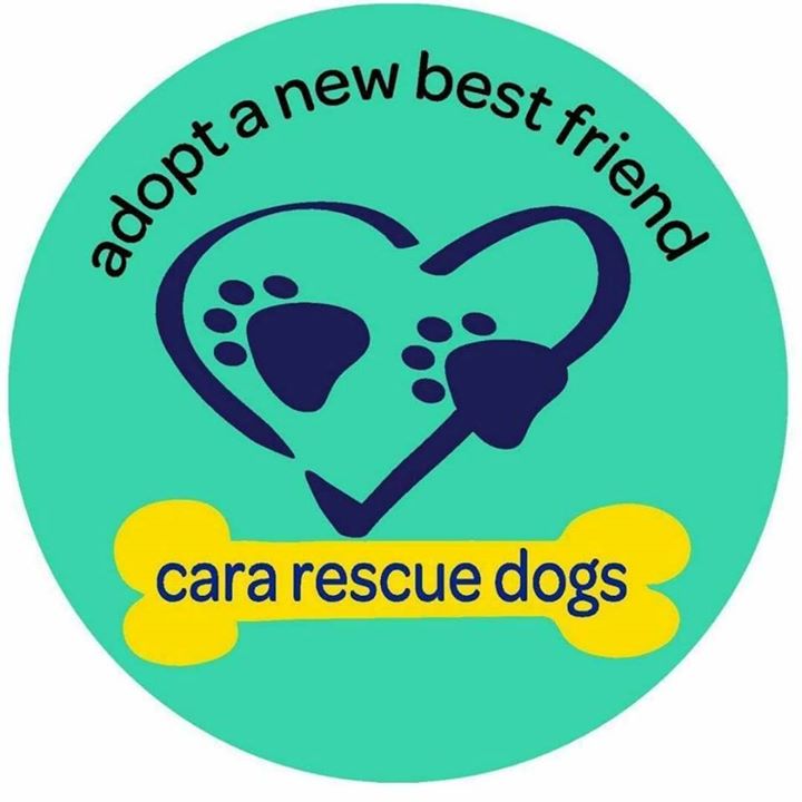 Donate to Cara Rescue, our local Pet Charity