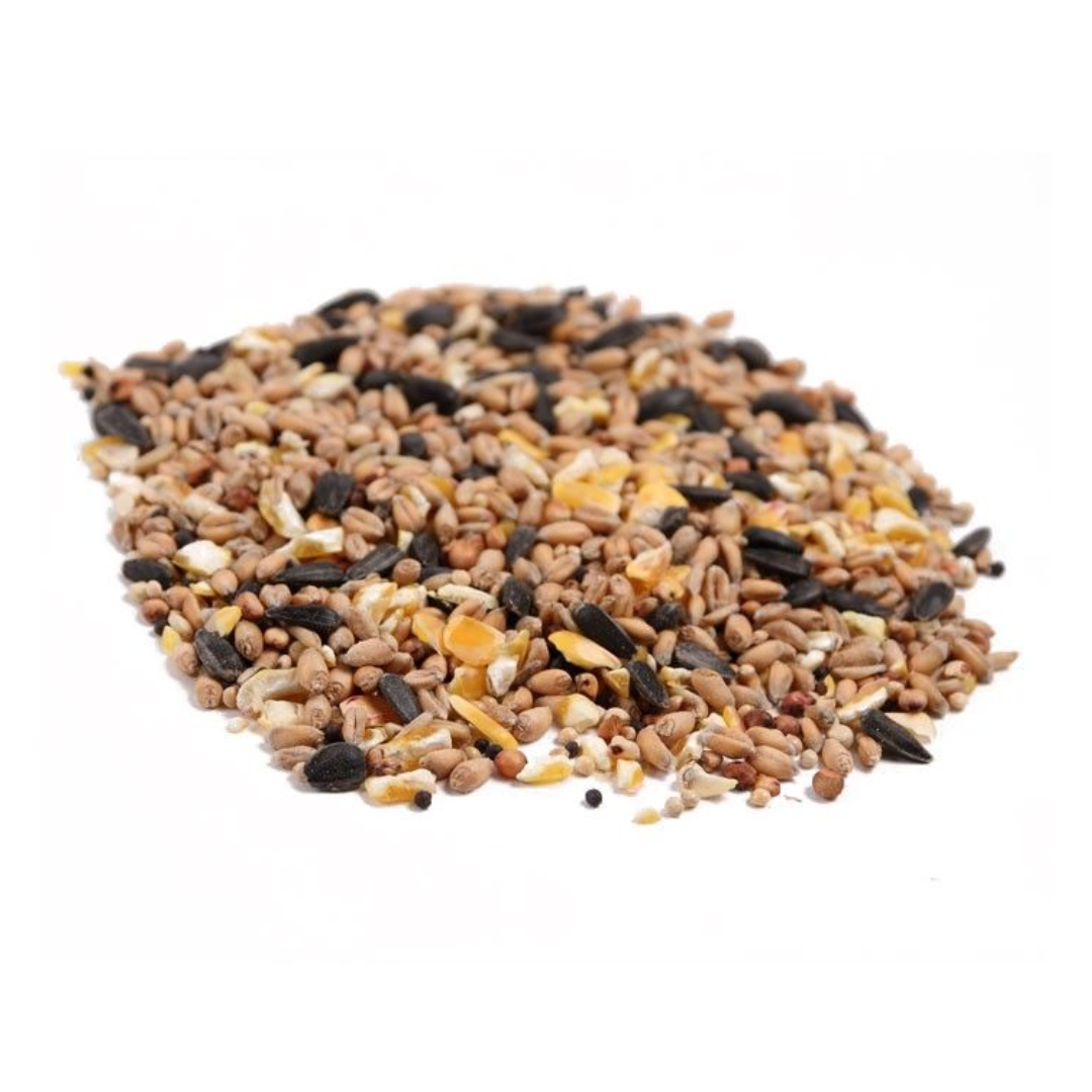 Wild Bird Seed