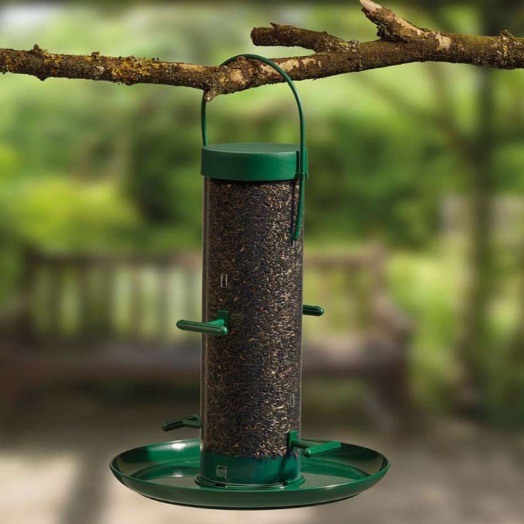 Nyjer Seed Feeder