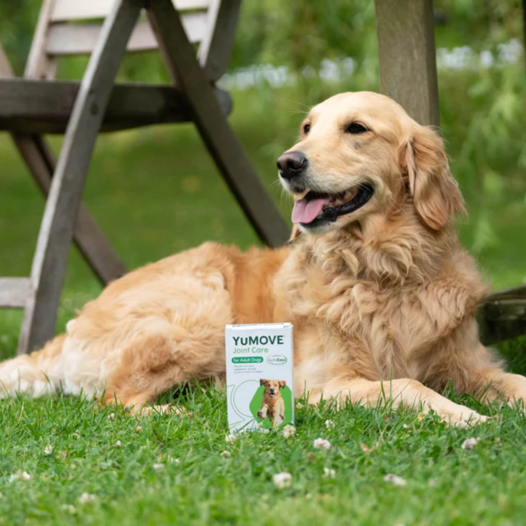 YuMove Joint Supplement Tablets for Dogs