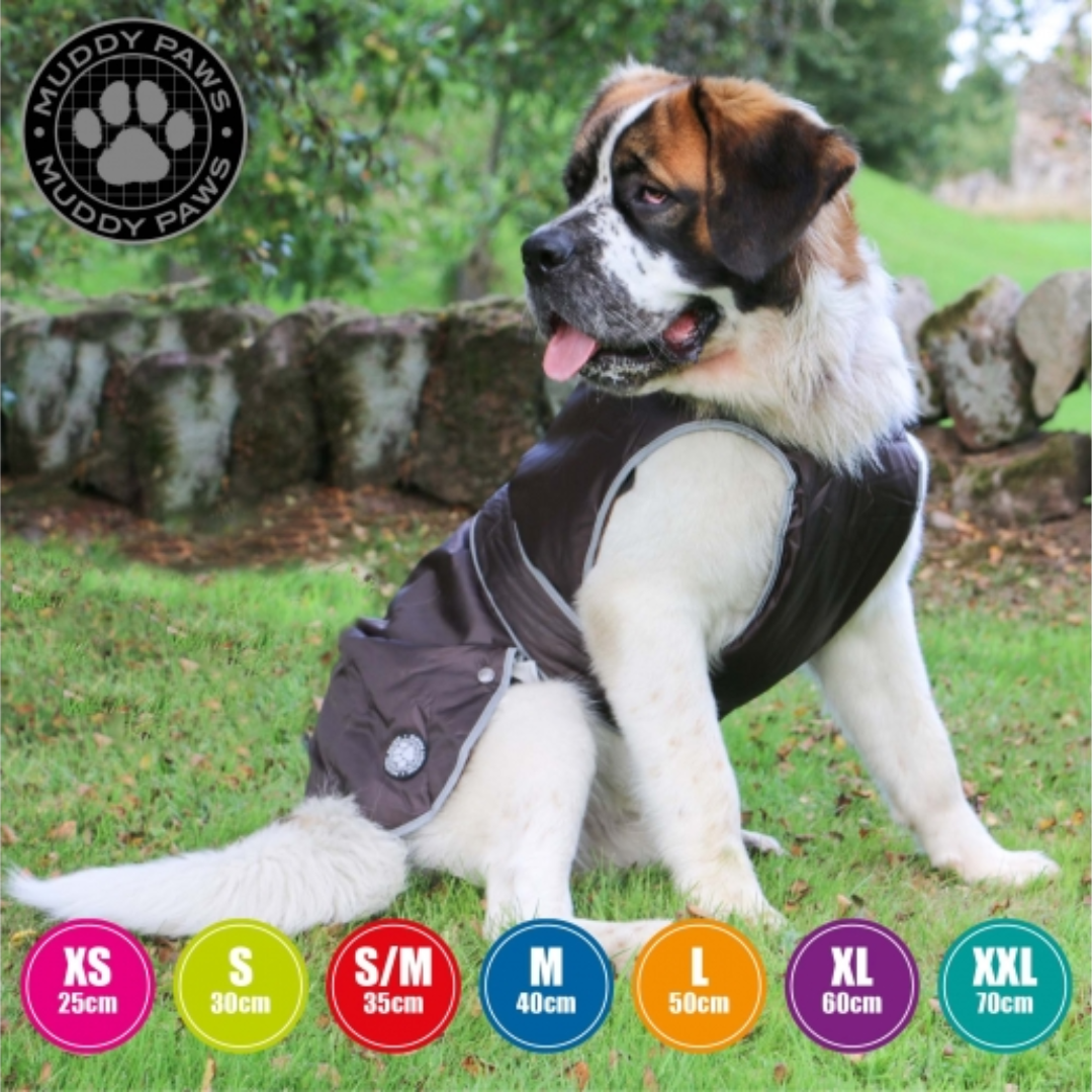 Fetch sales dog coats
