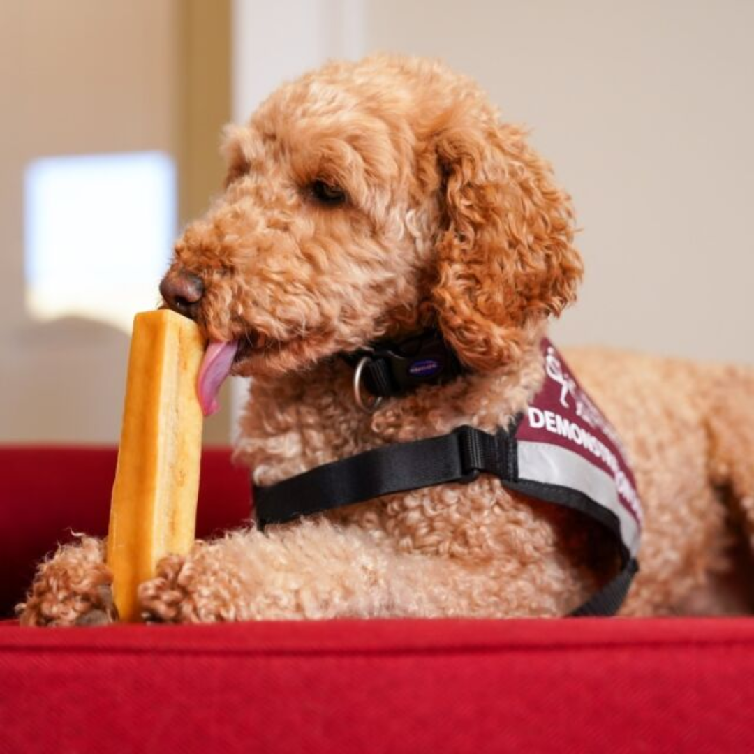 Yakers Dog Chew