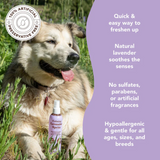 Natural Dog Company Calming Lavender Spritz