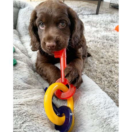 Nylabone Bacon Puppy Keys Chew