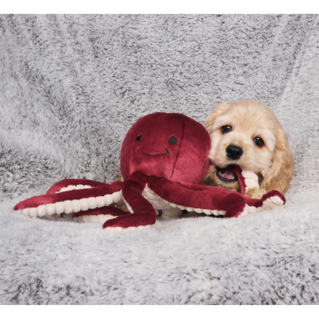 A puppy is laying on the Fluff & Tuff Olympia Octopus Plush Dog Toy. The puppy has a tentacle in their mouth. Toy is a berry colour with a textured beige underside of the tentacles. 