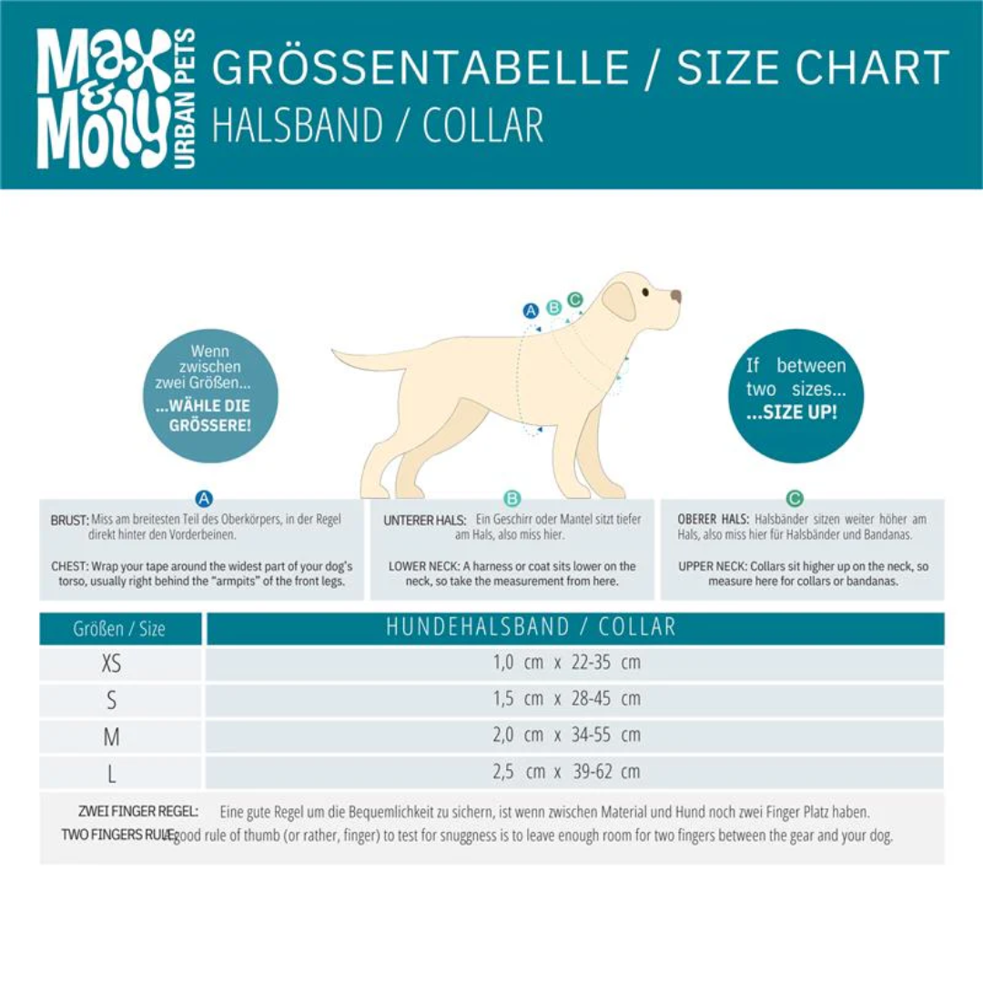 Size chart for Max and Molly dog collars.