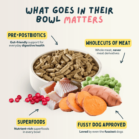 An infographic-style pet nutrition graphic with a bowl of dog kibble centered on a light beige background. Arrows point to the kibble and surrounding food items labeled 'PRE+POSTBIOTICS,' 'WHOLECUTS OF MEAT,' 'SUPERFOODS,' and 'FUSSY DOG APPROVED.