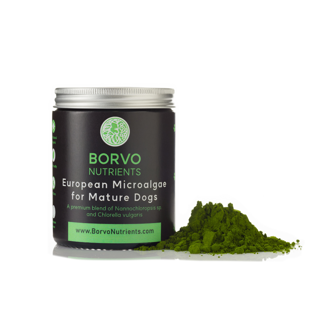 MicroAlgea for Mature Dogs - Borvo Nutrients