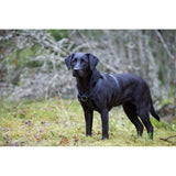 Rukka Black Form Y Harness