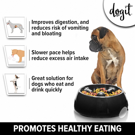 Benefits of the DogIt Go-Slow Anti Gulp Bowl - Improves digestion, slows pace, for dogs who eat quickly.