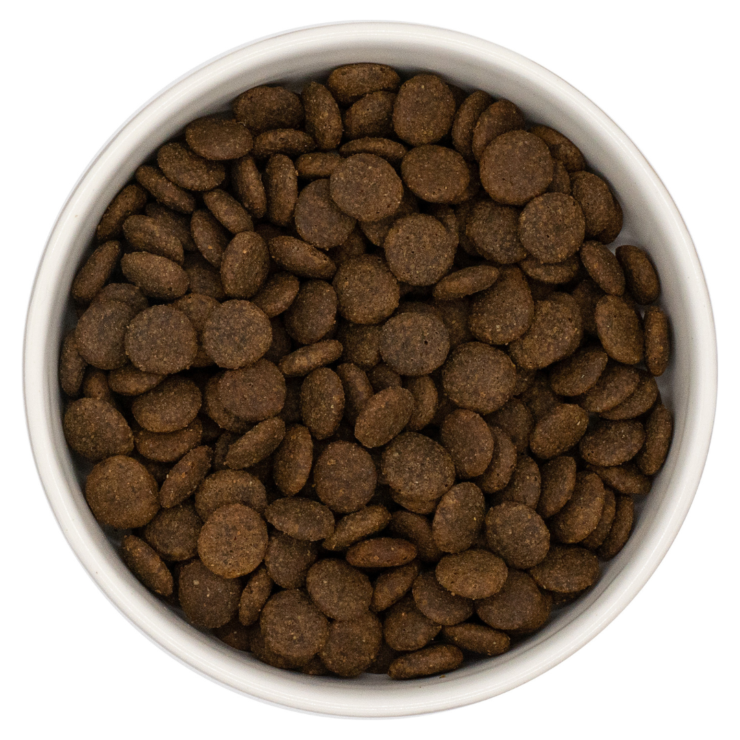 Nourish Rite Grain Free Adult Dog Food -  Pork