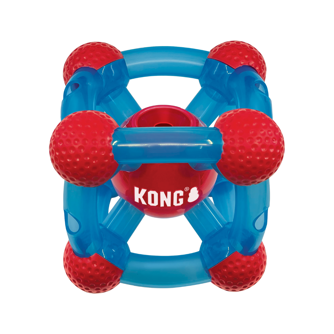 Kong Rewards Ticker Treat Dispenser.