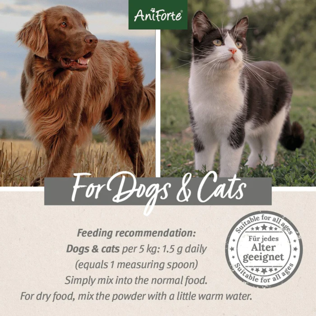Photos of a dog and a cat with the feeding recommendation of 1.5 grams per day for every 5 kg of body weight.