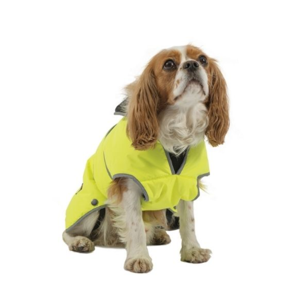 Ancol Stormguard Hi Vis Dog Coat