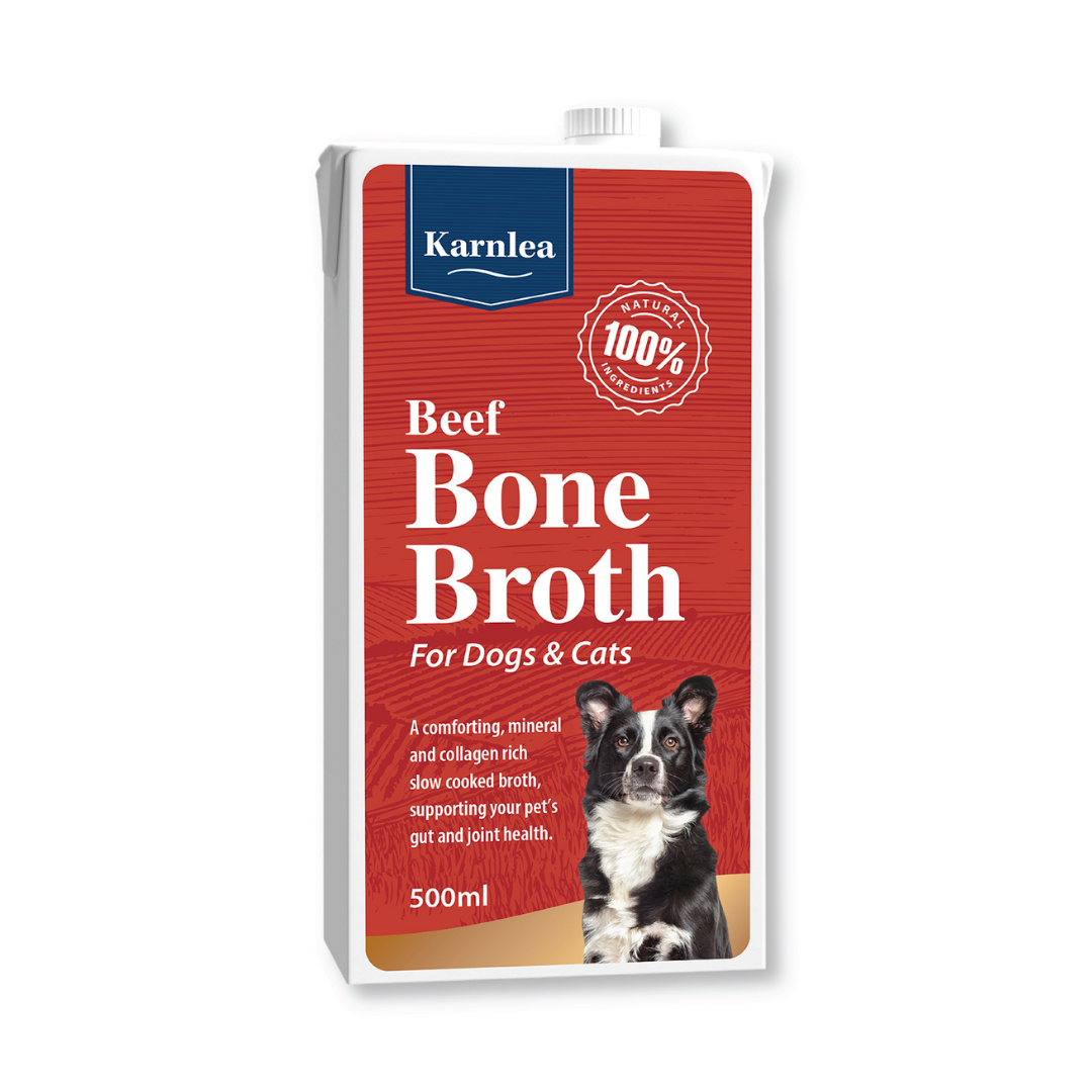 Bone broth top for senior dogs