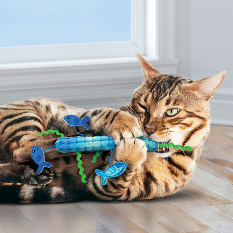 Tabby cat playing with the Kong Stickeroo cat toy.