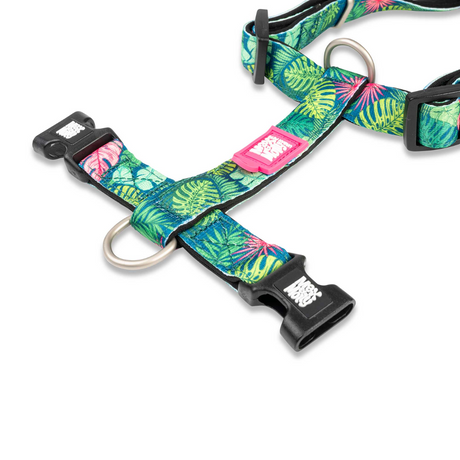 Max and Molly open tropical harness.