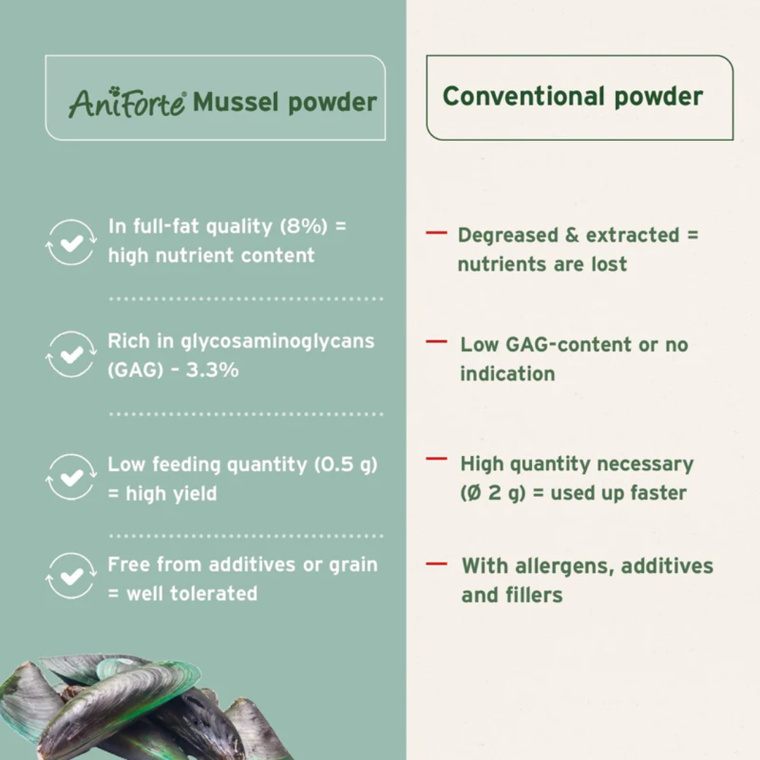 An infographic explaining why the Aniforte Green-Lipped Mussel Powder s better than others on the market