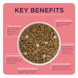 An infographic by Burgess stating the benefits of this cat food. There is a bowl of cat food in the middle of the photo.