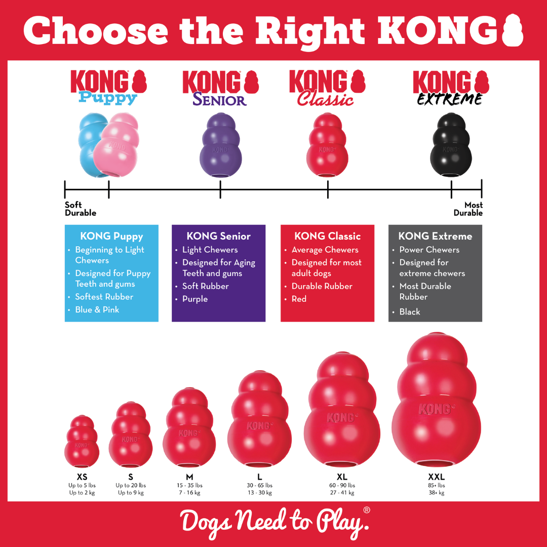 Kong Classic Dog Toy