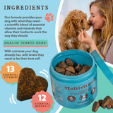 An infographic explaining this products ingredients being perfect for multivitamins