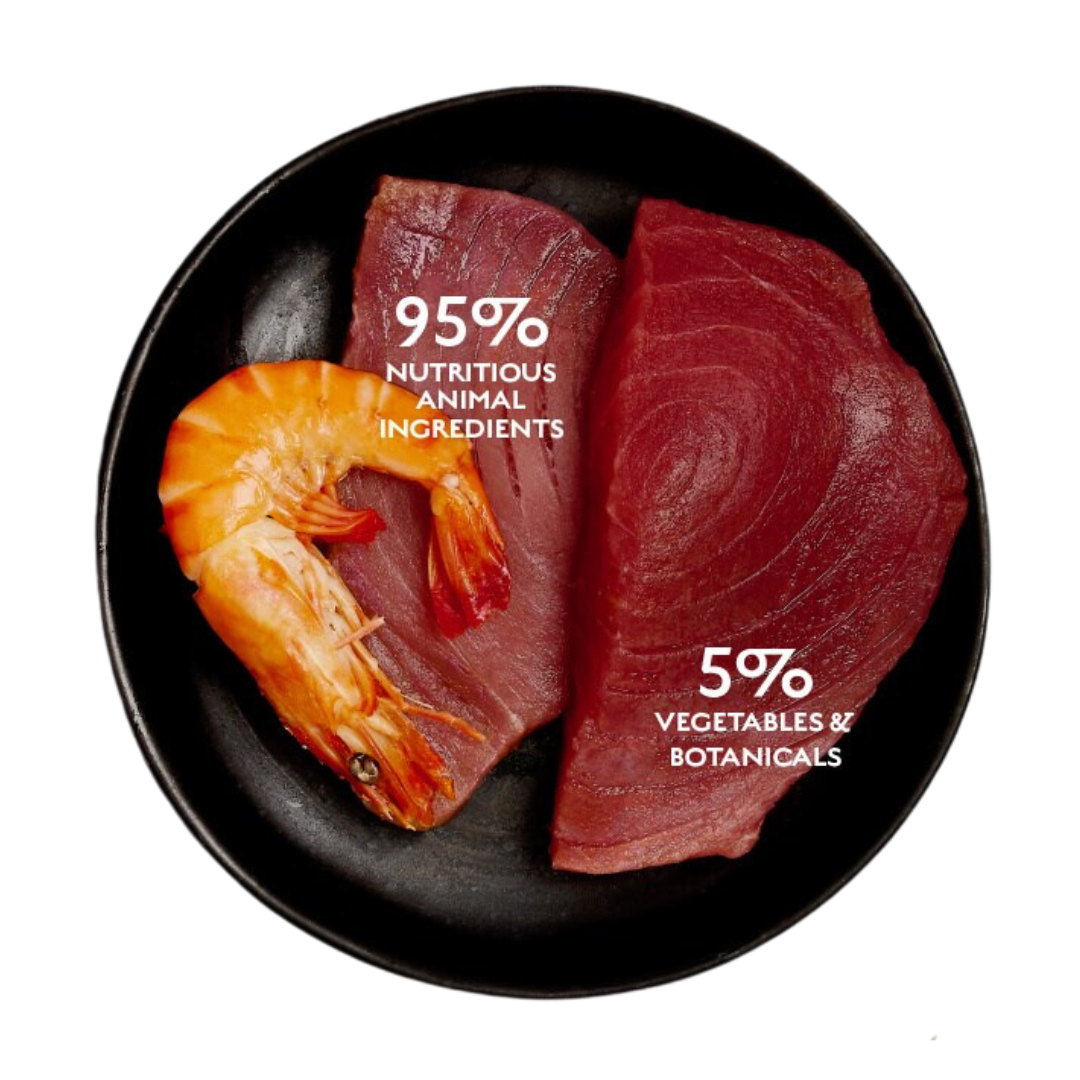 The fresh ingredients of the Canagan Tuna with Prawns Cat Food Tin 75g. 