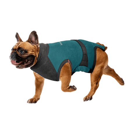 MAXX Surgical Recovery Suit for Dogs