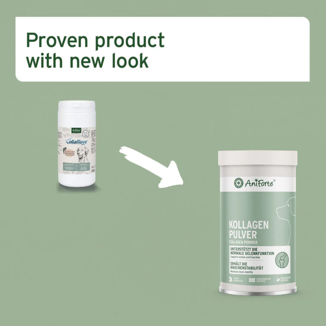 An infographic of the older and new Aniforte Collagen Powder 